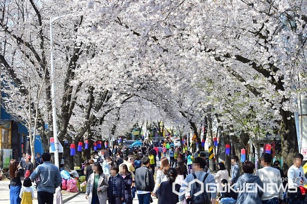 제28회 제천 청풍호 벚꽃축제'가 오는 27일부터 청풍면 물태리 문화마을 일원에서 열린다.(사진=제천시)